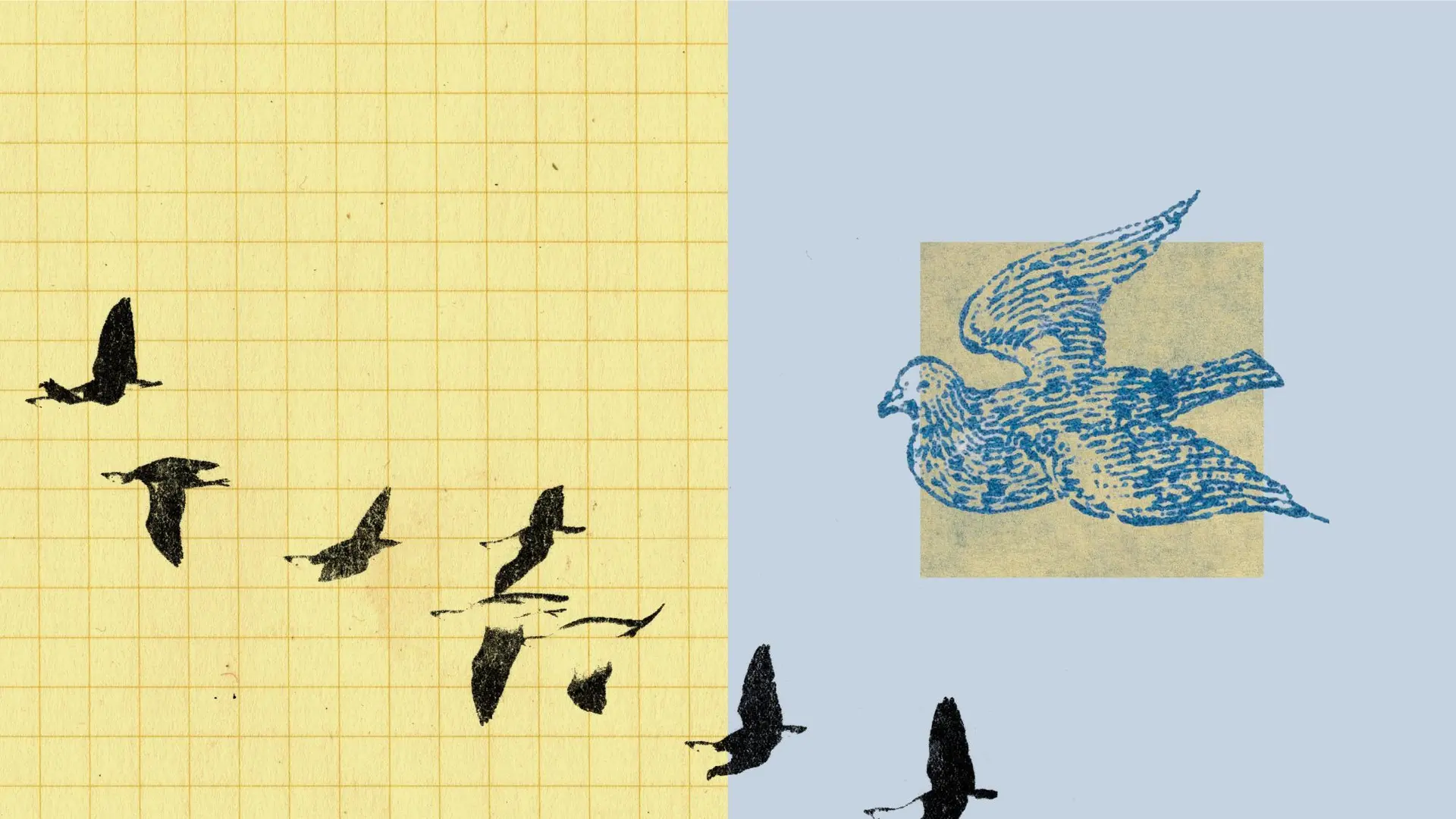 Agentic coding and persistent returns to expertise