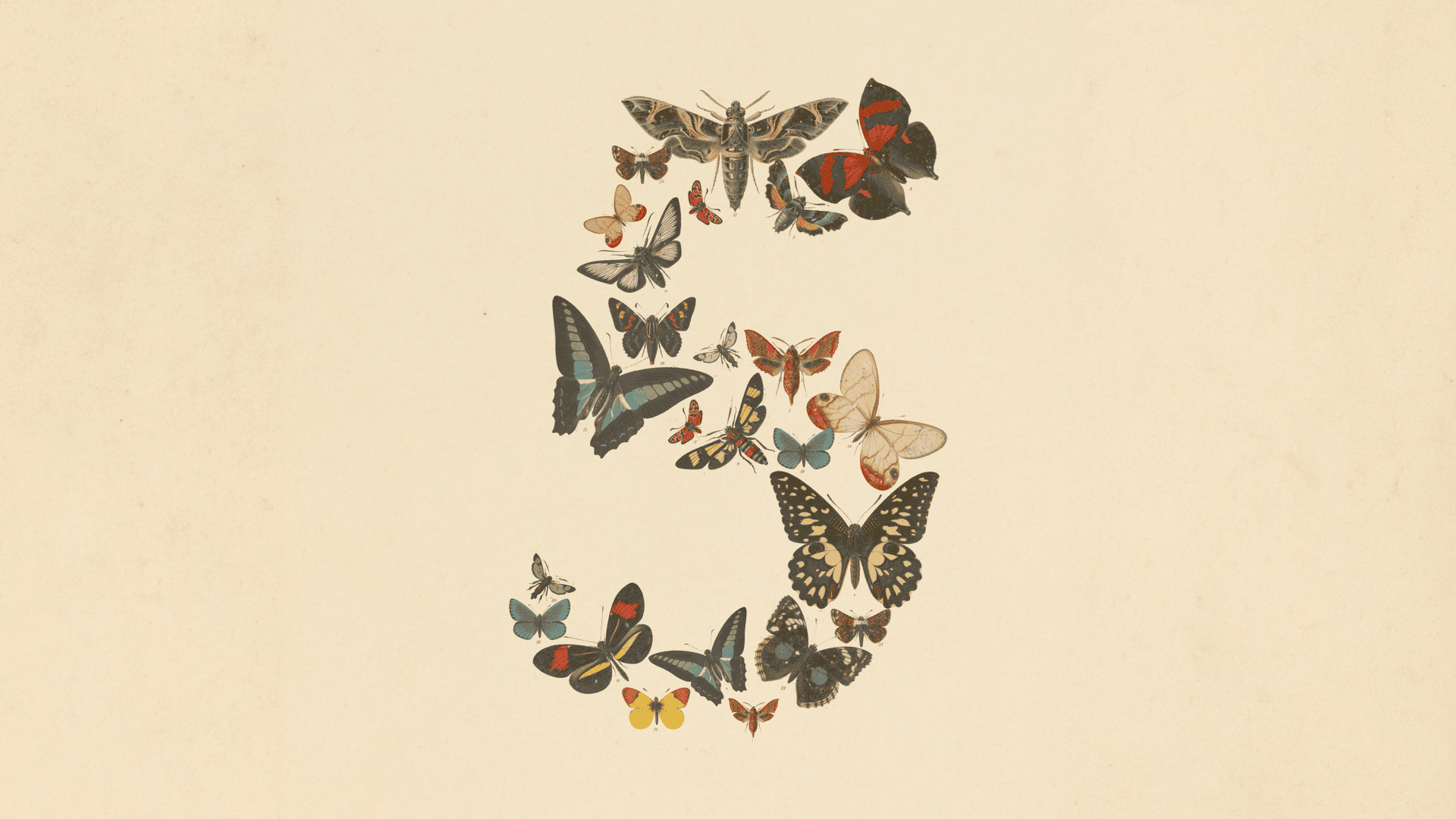 The number five composed of several butterflies